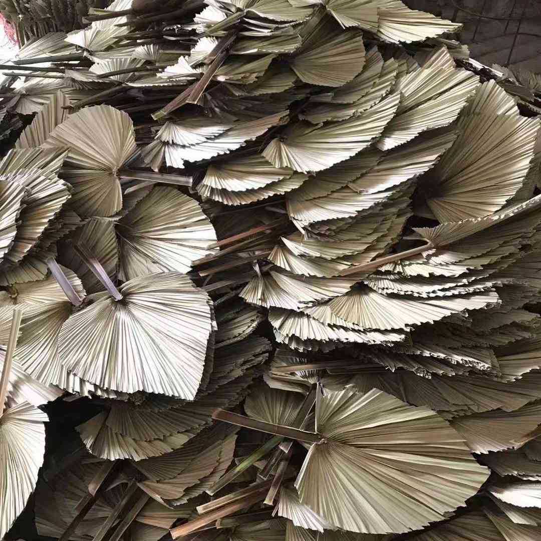 Pu Fan Dry Flower Home Decoration Leaf Flower Leaf Palm Flower…