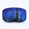 Forest Starry Sky