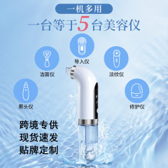 クロスボーダー専用超微細気泡美容器肌洗浄酸素注入器洗顔器美容電気黒吸い器
