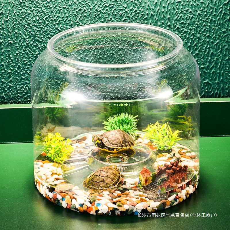 Plastic turtle breeding cylinder micro -landscape hood living room transparent lid lizard lizard climbing cylinder
