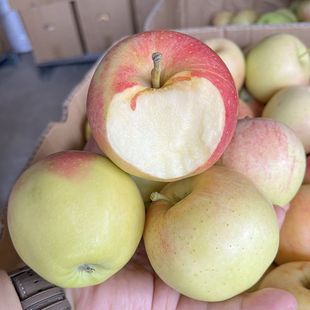 ɽ�|��̨��ϼ�t��ʿ�O��5���rˮ�������خa�����Fժ����10���O��