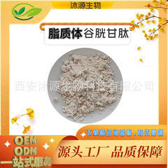 50%70% 脂质体谷胱甘肽 纳米粒径40-30 葵花磷脂包埋 可拿样100g/