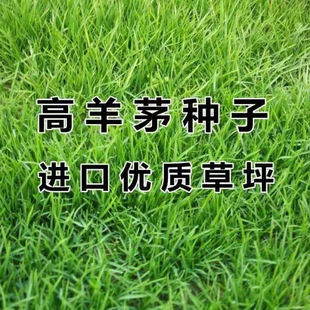 ����é�����M�ڲ�ƺ�N���ļ������ͺ��ͺ���̤ͥԺ�G���o�º�����