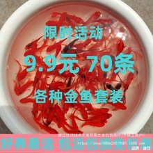 ��ˮ�~����ϻ��~���^�p�~���B����С���~�\�����B��ˮ�ͻ�ۼtɫ