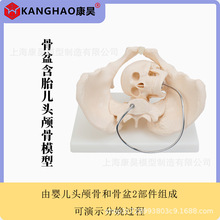 ���躬̥���^�B��ģ��̥�����aʾ��ģ��Ů�����ģ�ͷ������ģ��