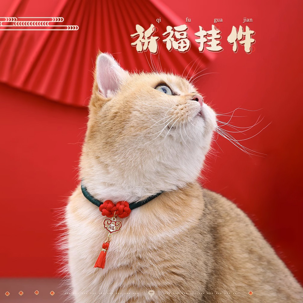 Collar de gatos collar de gatos collar de gatos