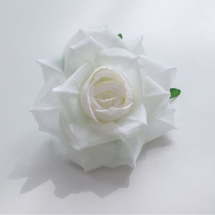 10����С������^ ����WʽСõ�� ��Y�����bٻ� �Ҿ��b�粼