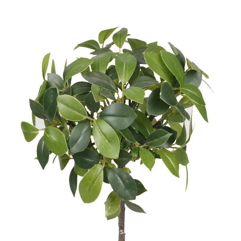 XRS-159 迷你榕叶7号盆栽166叶4.jpg