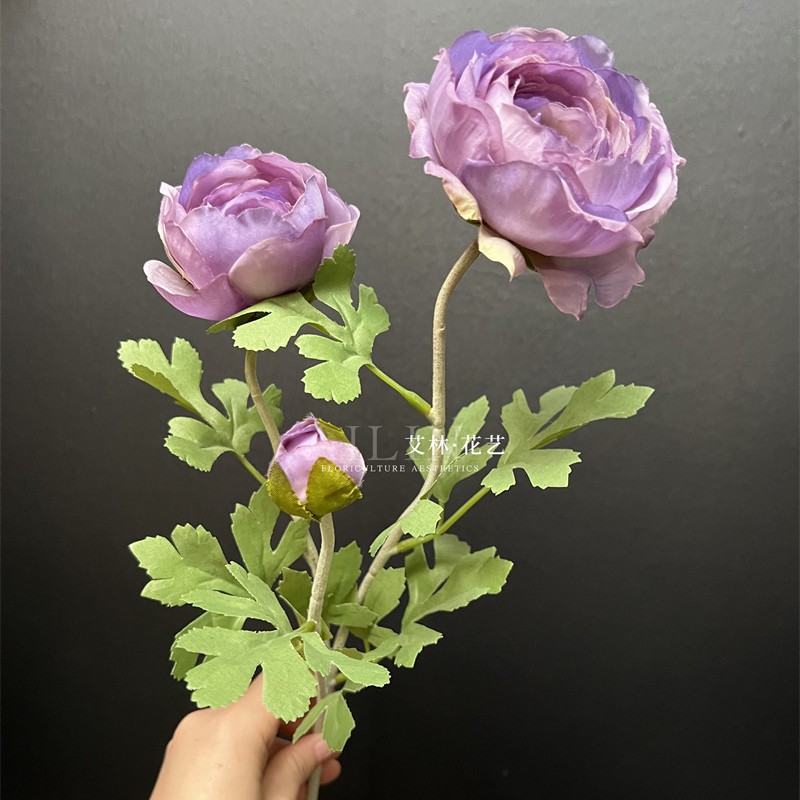 3 레인보우 룰리 안