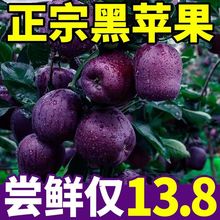 黑苹果高端冰糖心花牛苹果水果新鲜应季粉面蛇果10斤整箱批发价格