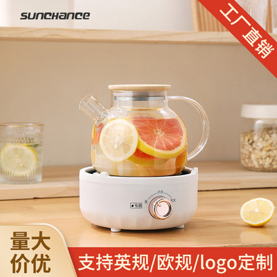 small-scale household electrothermal health preservation Flowers Teapot Kettle dormitory Glass Tea making facilities Manufactor One piece On behalf of