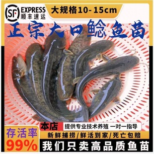 �Ϸ�����T�~�絭ˮ�����~�Bֳ������T�~����ʳ������ˮ���Ͷ��