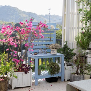 �̨���ܑ������f���W��@ˇ����ľ����̨���ӻ��@�����b������