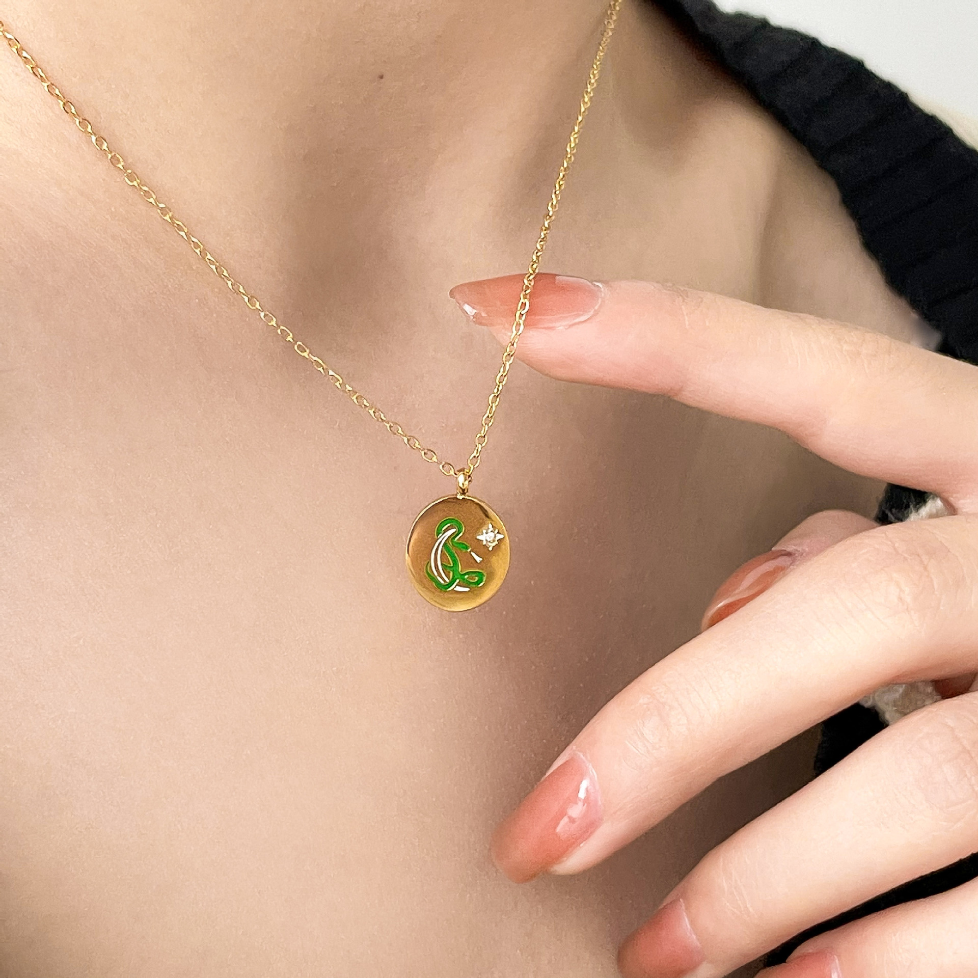 Simple Style Swan Dolphin Rose Titanium Steel Enamel Inlay Zircon Pendant Necklace_colorza_4