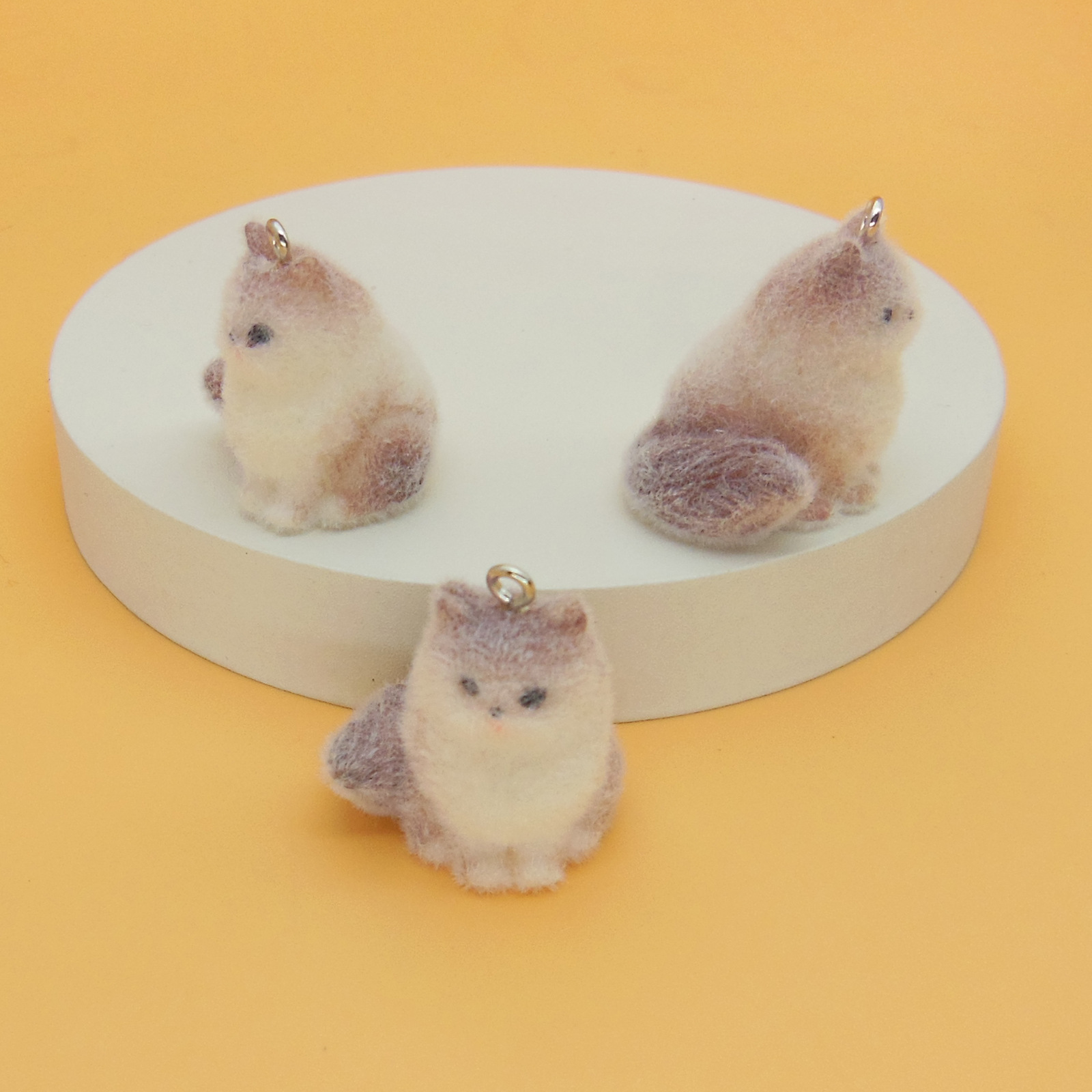 갈색 고양이