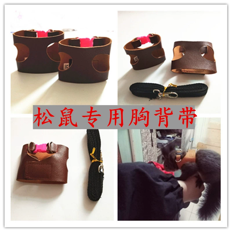 Сплит жилет Белка Тренировочная веревка Снег Маленькое домашнее животное Тяговая веревка Нагрудный ремень Тяговая веревка Внешний ремень Регулируемая длина
