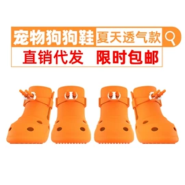 宠物鞋靴;服务商品;口腔护理套装
