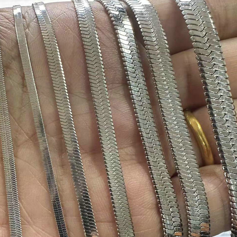 Manufacturer Wholesale Stainless Steel Blade Flat Snake Bone Chain Titanium Steel European and American Fashion Personalized Clavicle Jewelry Chain