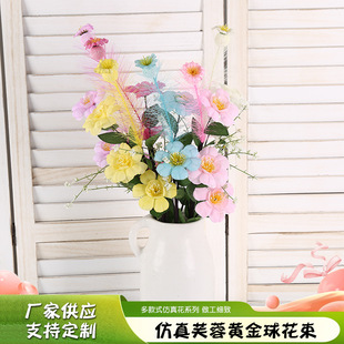�羳����ܽ���S�������¾Gֲ�ٻ��JȔ�~���h�w����L�ٻ�c�[��