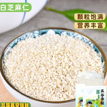 生白芝麻500g 干净免洗 去皮新芝麻脱皮白芝麻仁非熟白芝麻黑芝麻