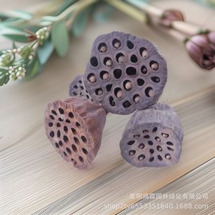 ���]ɏ��ɻ����lins�W�t��Ȼ�ɻ����������L���滨�͏d�b[��