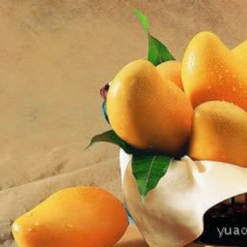 供应高浓度 熟香芒果香基 水溶 5KG起订