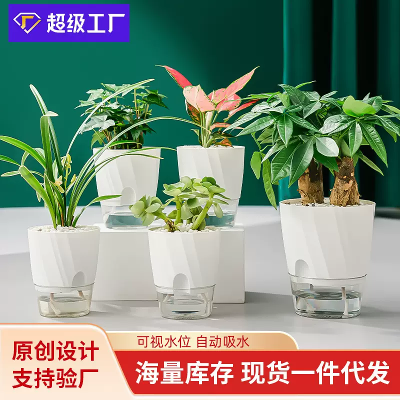 懒人绿萝自动吸水塑料花盆加厚防摔透明水养水培植物器皿桌面花盆