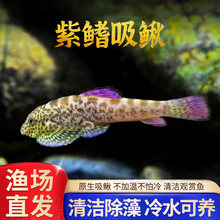 �������q�~�����������^�M�����q�^�p�~��ˮ�~���幤���坍�~�F��