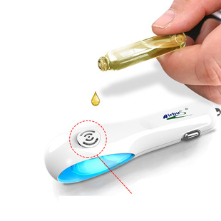 Mid-Autumn Festival and National Day Gifts Factory Wholesale Portable Car Air Purifier