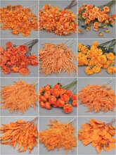 ��c��ɫ���Ľ�ɫ�����廨�bٻ���Y�ò��õ�픽���ˇ