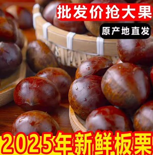 2025���r���|����5���r�������۴�����ڰ���Ұ���w���������F��