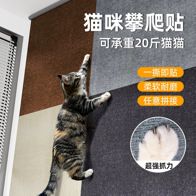 Protective wear-resistant universal sofa on wall, cat, can climb