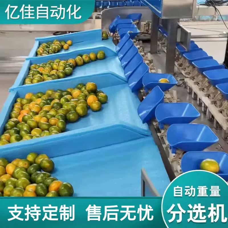 自动称重分拣机设备 自动称重分拣机 生蚝大小分拣机 食品检重秤