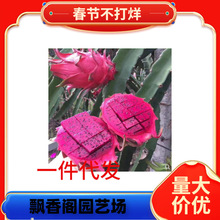 �t�Ļ�������������Ե���ͥԺ�̨�ϱ����ļ��Nֲ�����箔��Y��