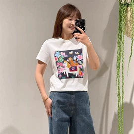 女式针织衫;连衣裙;女式羊毛衫