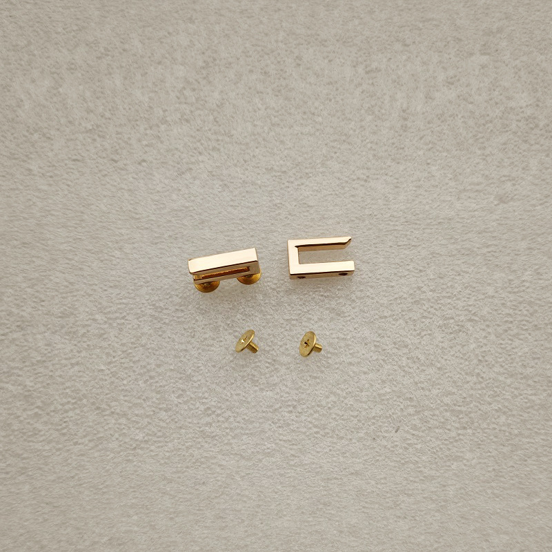 Accesorios metálicos rectangulares de placa de bloqueo doble D gancho de tornillo de bloqueo arco pequeño platino Kelly bolso de mujer tornillo de clavo