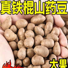 �����F��ɽș�����5�����r�Fժ�r�ұ��Ǻ��J�ö��������l��Ş��