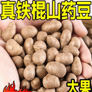 �����F��ɽș�����5�����r�Fժ�r�ұ��Ǻ��J�ö��������l��Ş��