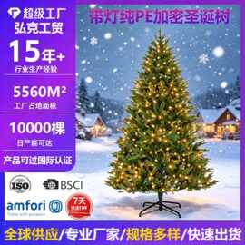 圣诞树批发跨境豪华人造松针圣诞树摆件加密带灯铸造仿真圣诞树pe