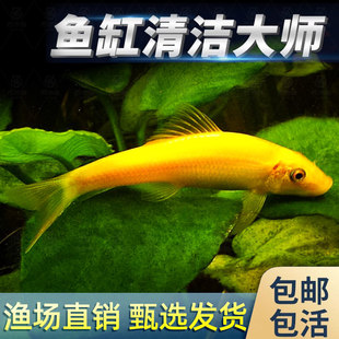 ������~���坍���~��̦�������~ʺ�����~��ˮ��̦��Ꭷ�^�p�~