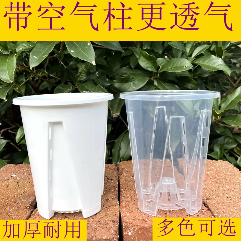 Прозрачный корень-контроль зеленый горный бассейн дышащий фаленопсис роза цветочный горшок Зеленая редька Цветочная посадка Бассейн Белый галлон бассейн оптом