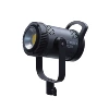 YL300W black