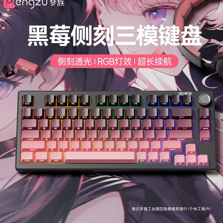 Dream Tribe Z75Pro Small-Sized Mechanical-Feel Keyboard with Silent Typing, External Three-Mode Gaming Keyboard for Laptops