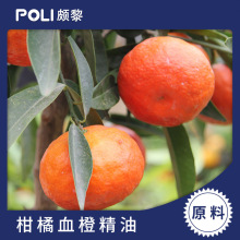 薄荷玫瑰血橙茴香香根草杜松子永久花檀香柠檬天竺葵迷迭香姜精油