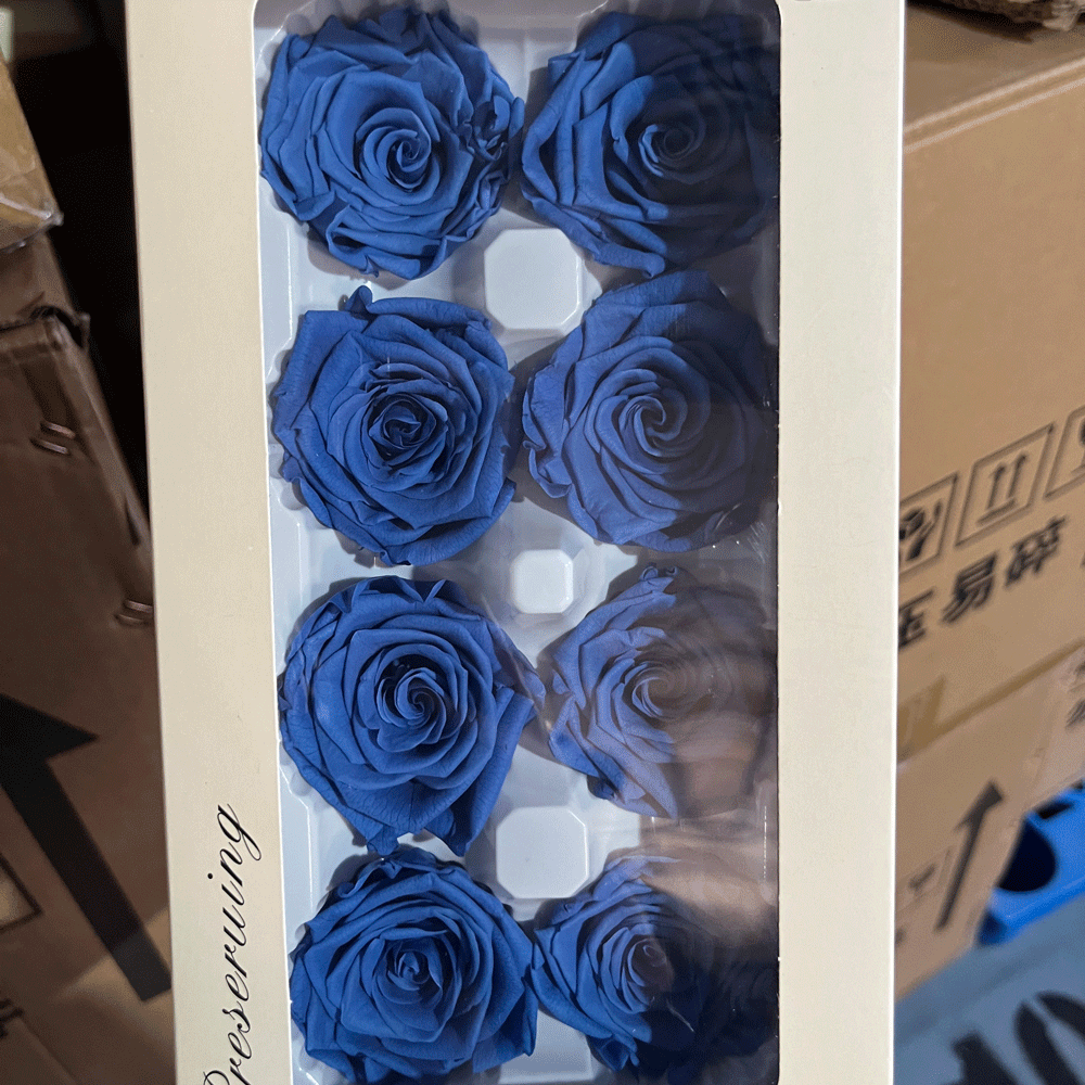 Cabeza de Rosa Preservada B+, 4-5 cm, Regalo para el Día de San Valentín Chino, Ramo de Flores Preservadas al por Mayor, Flores Secas para DIY, 520