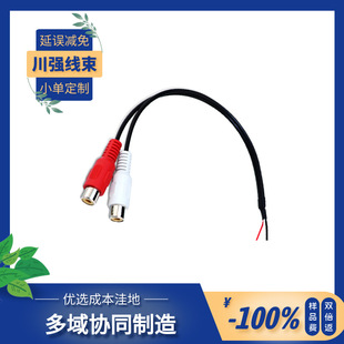 ɏ��ƽ��2RCAĸ�^2RCA���^�p�K����������a�~������ɏ�����l��