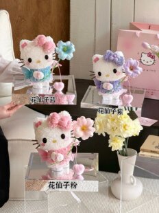 520���˹��Y����Dhellokitty�������滨�P��KT؈�[����Ů���|��