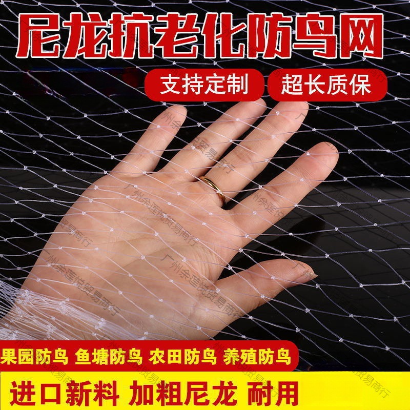 防鸟网防老化大棚保护网家用果树网防鸟用的鱼塘养殖网