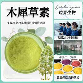 木犀草素98% 100g/袋 木樨草素原料 落花生壳提取 木犀草料