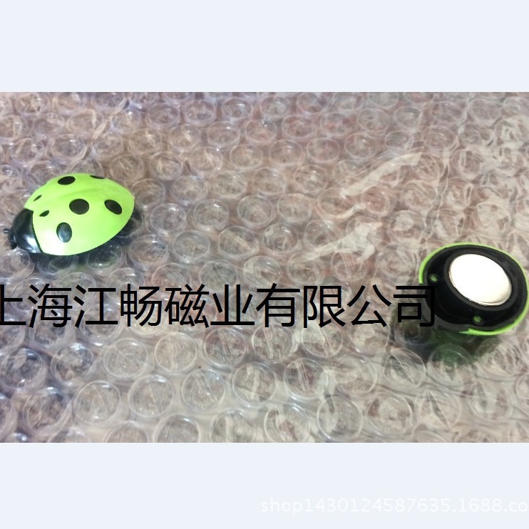 瓢虫磁钉  蜜蜂冰箱贴 动物磁粒 白板图钉 塑料磁扣磁铁 白板贴